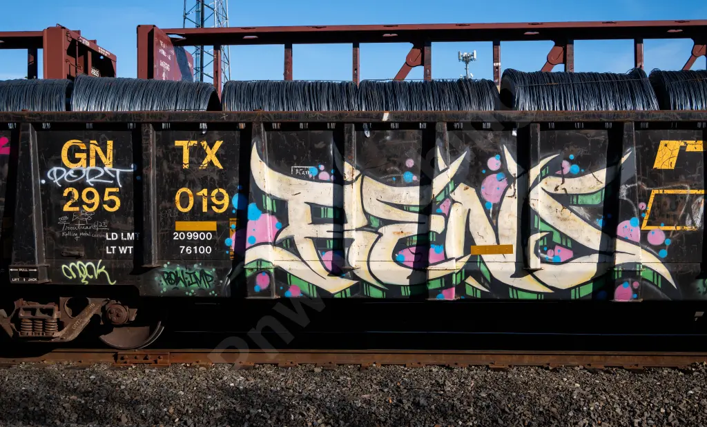 GNTX295019 - NORTH-AMERICA