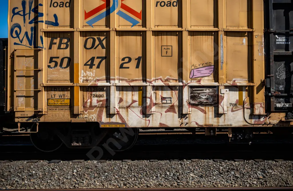 FBOX504721 - NORTH-AMERICA