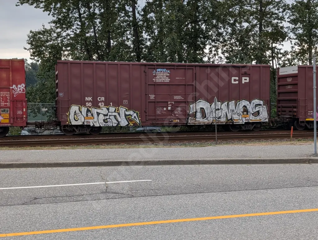NKCR50431 - NORTH-AMERICA