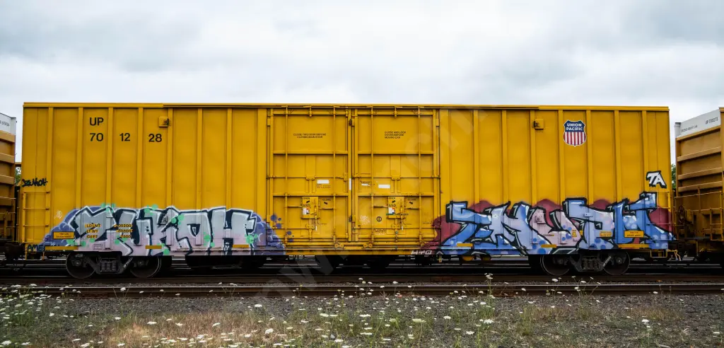 UP701228 - NORTH-AMERICA