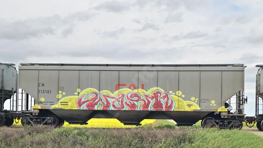 CN113161 - NORTH-AMERICA
