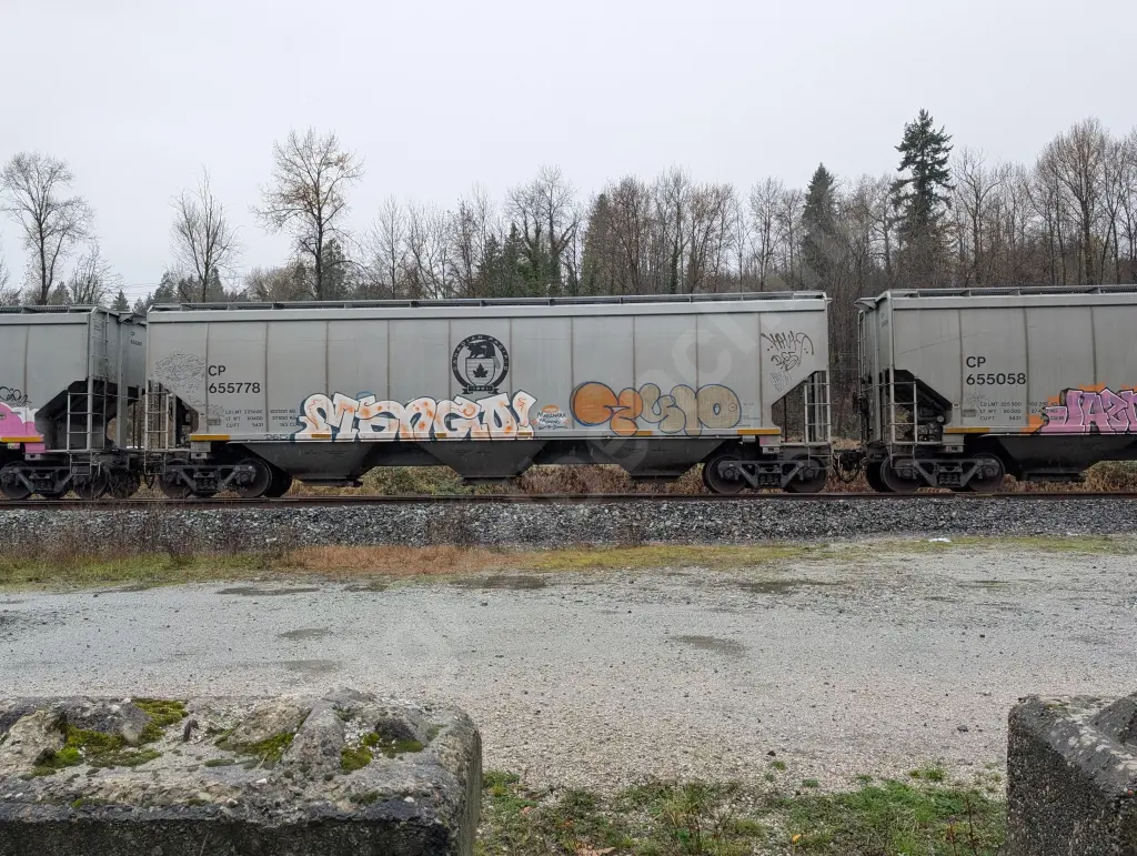 CP655778 - NORTH-AMERICA
