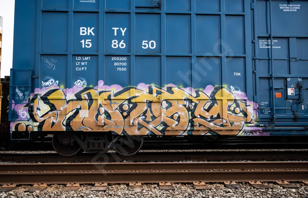 BKTY158650 - NORTH-AMERICA