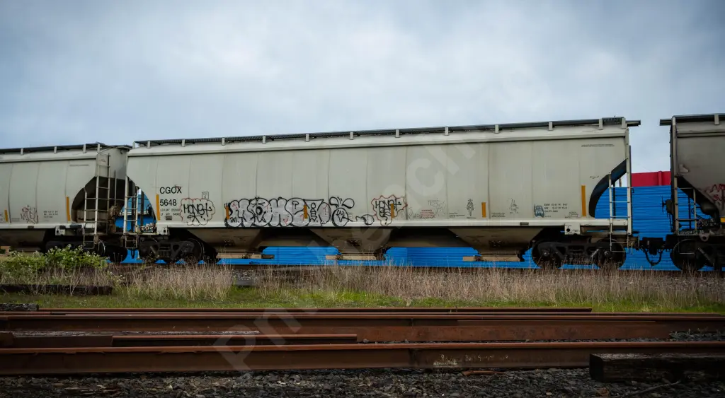 CGOX5648 - NORTH-AMERICA