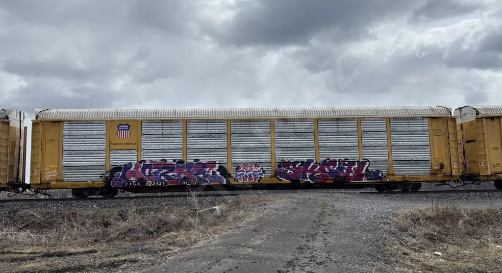 TTGX993421 - NORTH-AMERICA