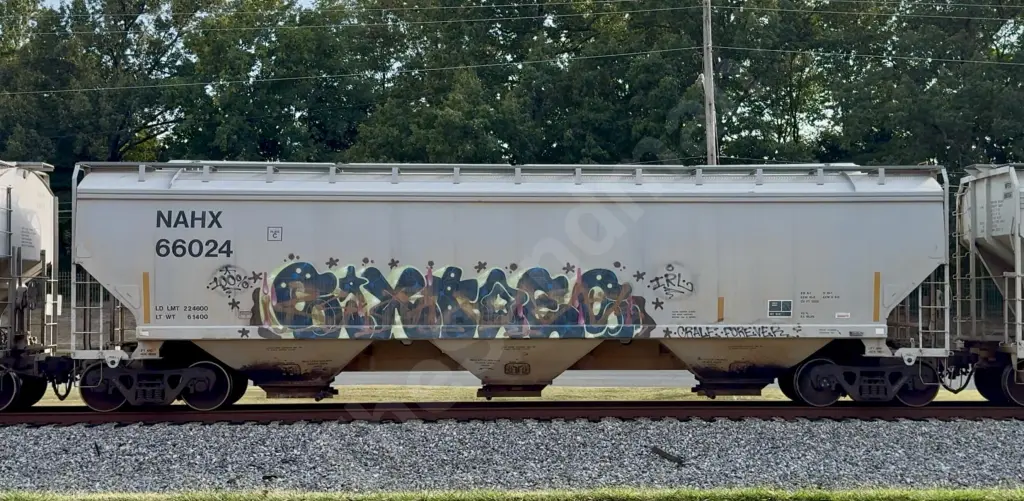 NAHX66024 - NORTH-AMERICA