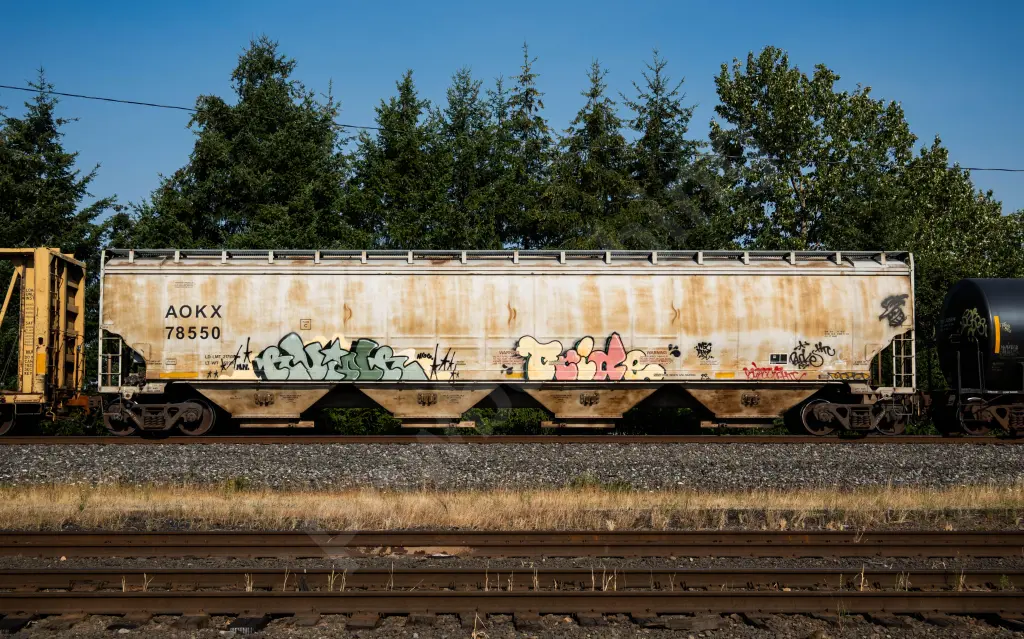 AOKX78550 - NORTH-AMERICA