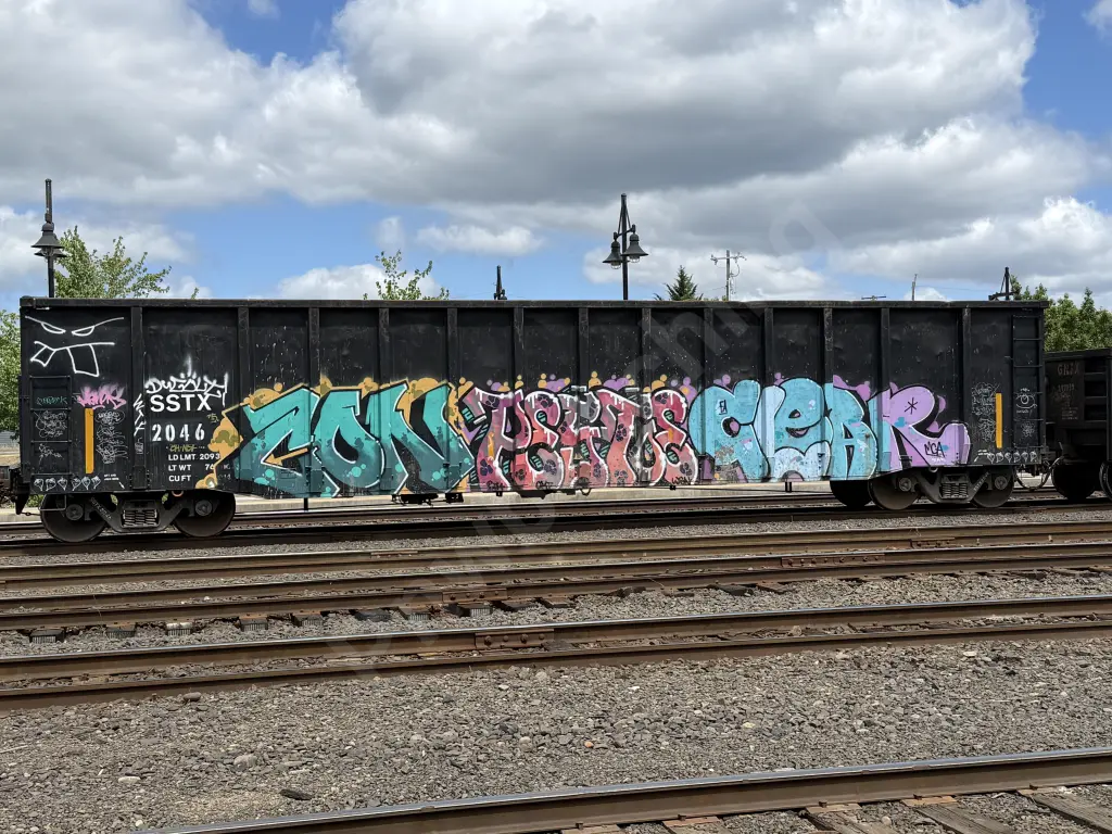 SSTX2046 - NORTH-AMERICA