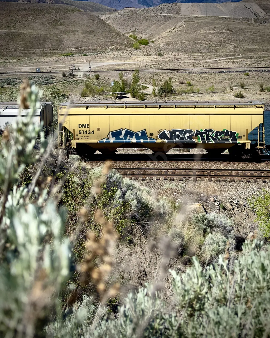 DME51434 - NORTH-AMERICA