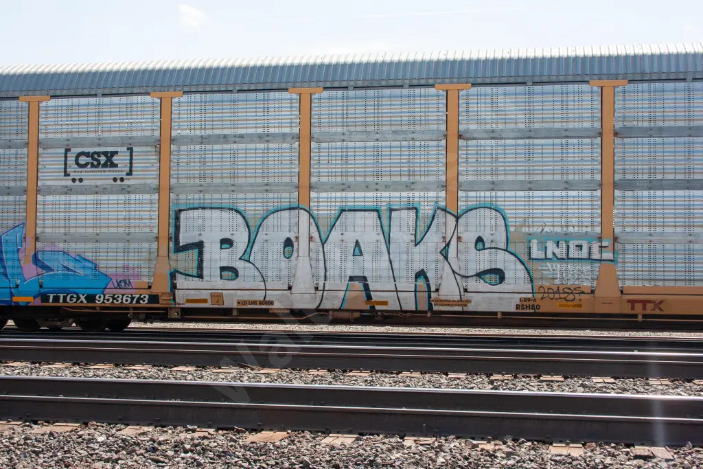 TTGX953673 - NORTH-AMERICA