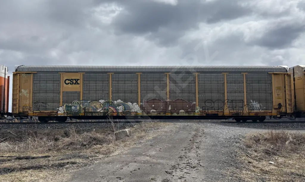 TTGX995319 - NORTH-AMERICA