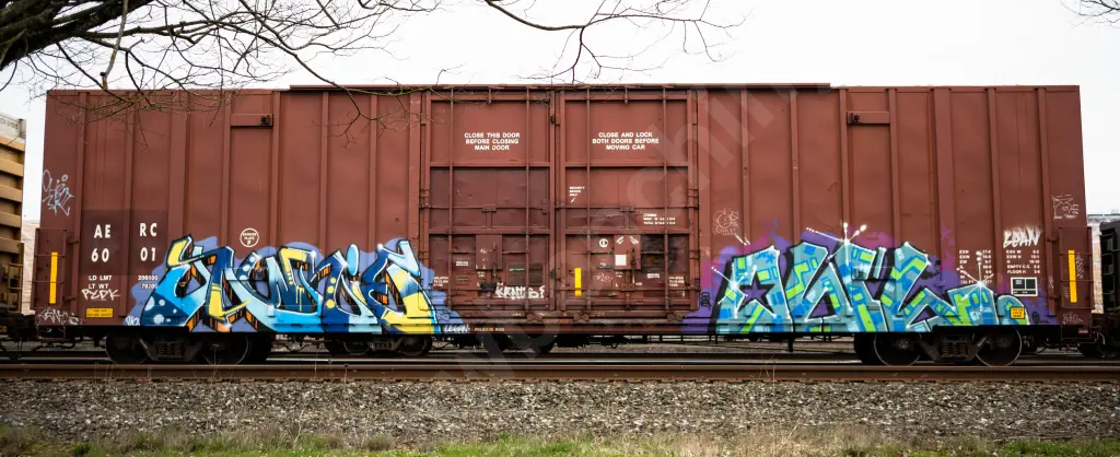 AERC6001 - NORTH-AMERICA