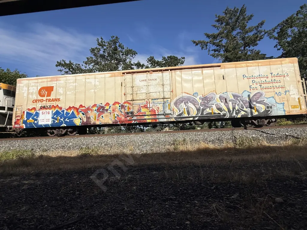 CRYX5176 - NORTH-AMERICA