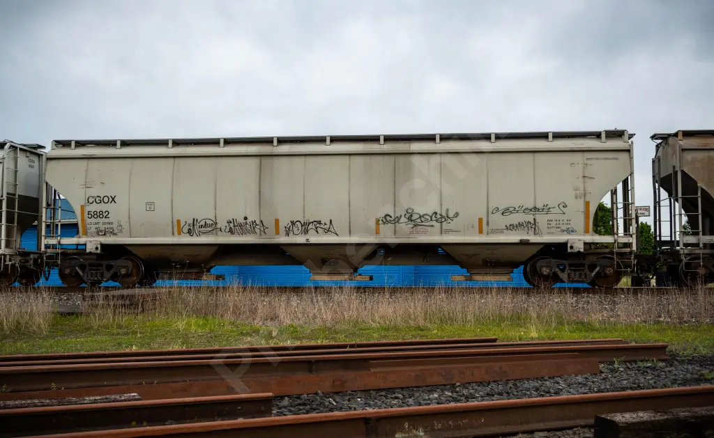 CGOX5882 - NORTH-AMERICA