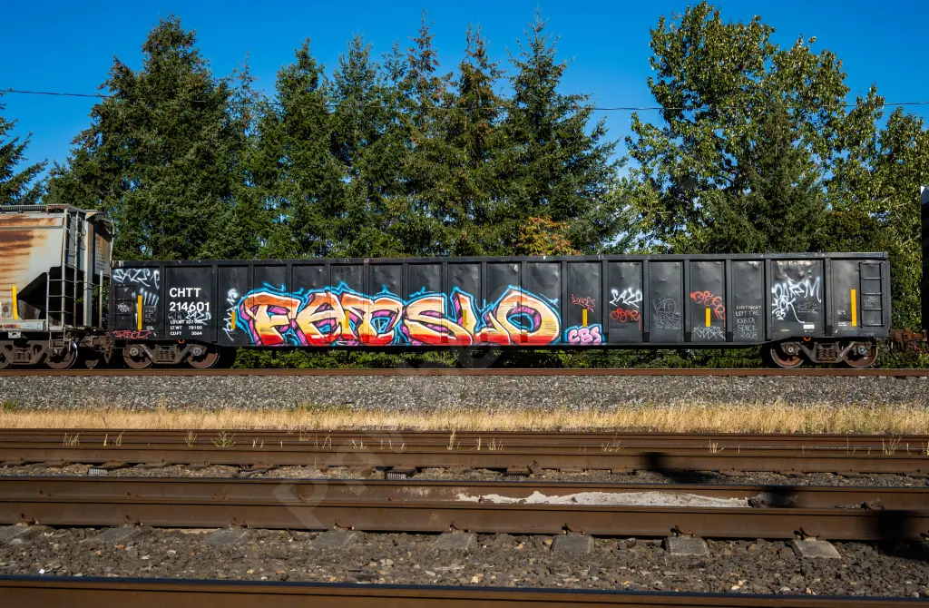 Train photo