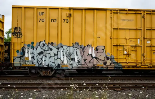UP700273