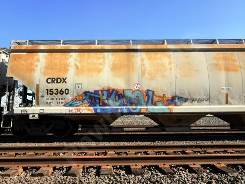 CRDX15360