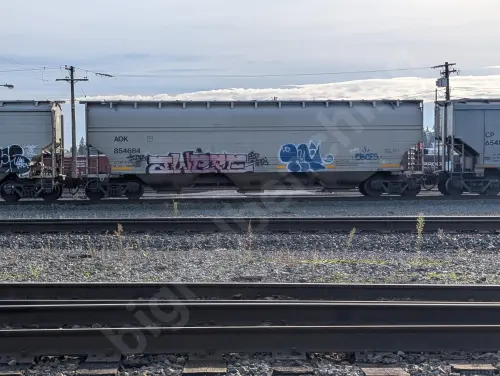 AOK854684