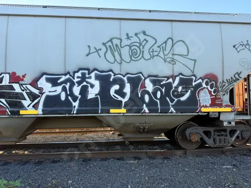 CAEX581938