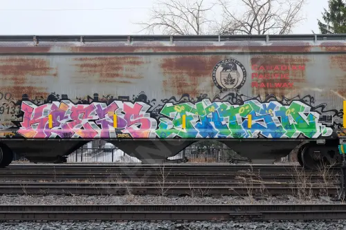 SOO119133