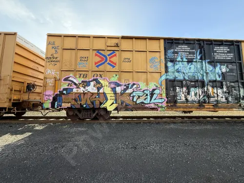 TBOX675237