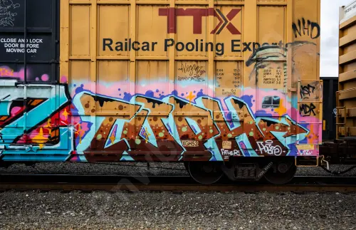 FBOX506133