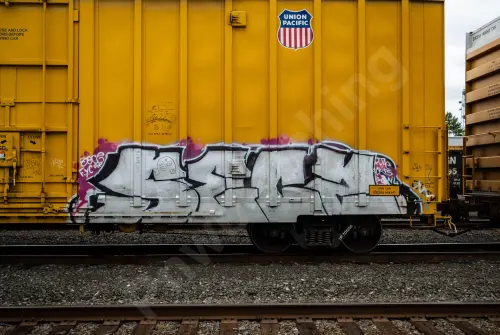 UP701255
