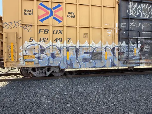 FBOX502497