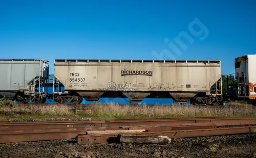 Train photo