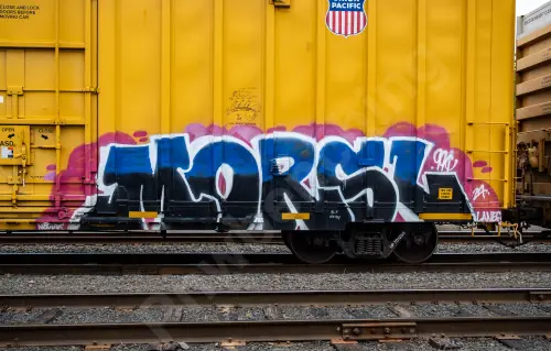 UP701255
