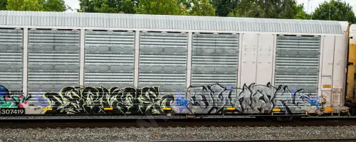SFLC307419