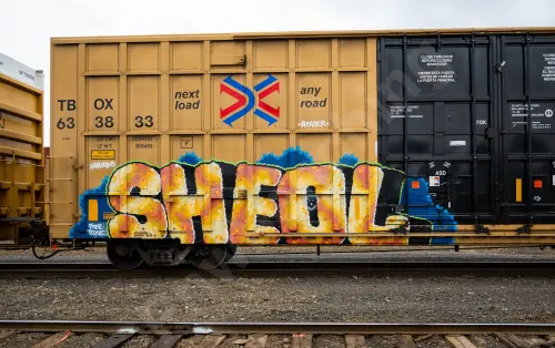 TBOX633833