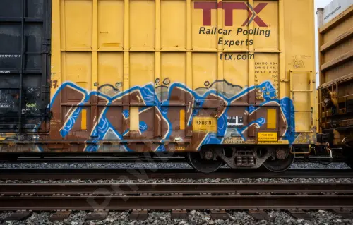 FBOX502536
