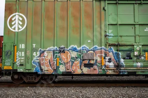 IBT18495