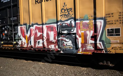 TBOX662728