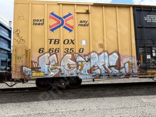 TBOX666350
