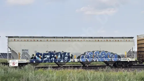 Train photo