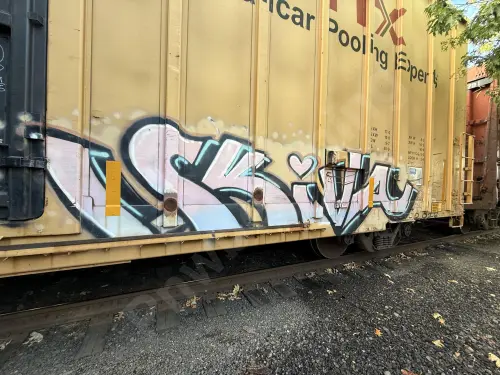 TBOX662149