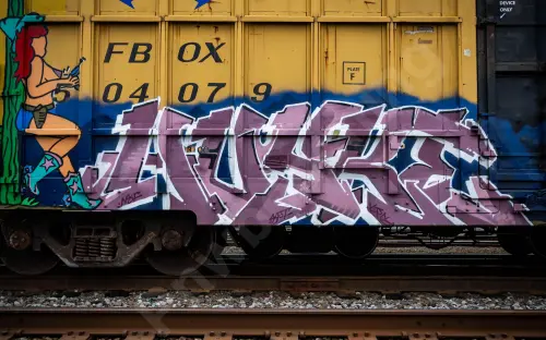 FBOX504079