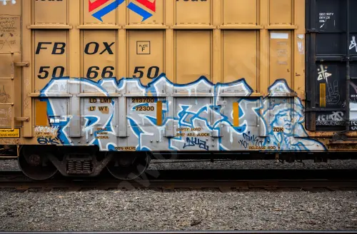 FBOX506650
