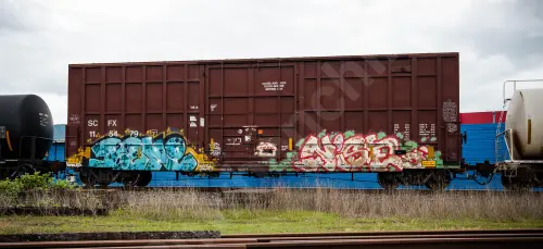 SCFX115479