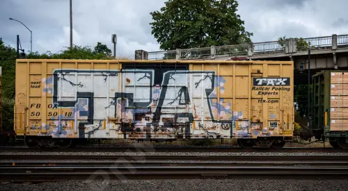FBOX505018