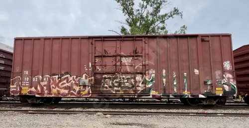 TR100241