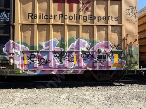 FBOX505557