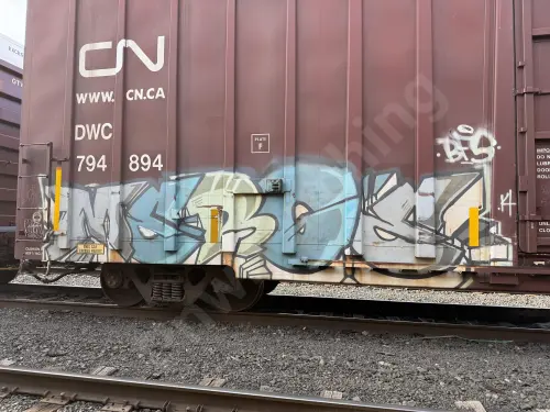 DWC794894