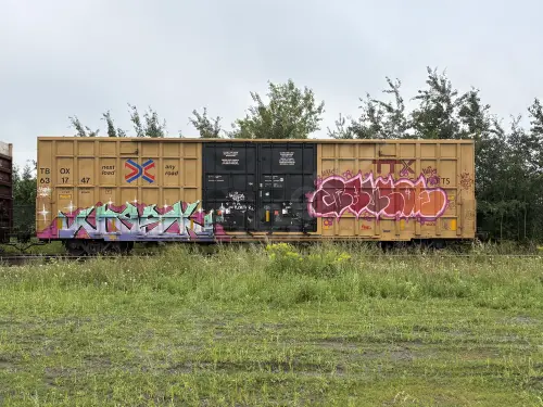 TBOX631747