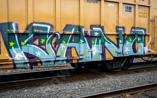 TBOX636066