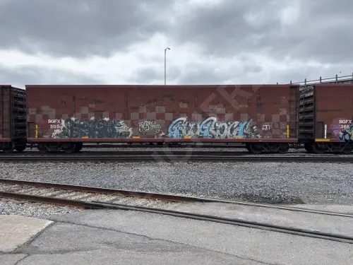 SGFX305