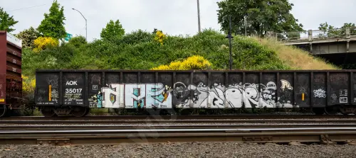 Train photo