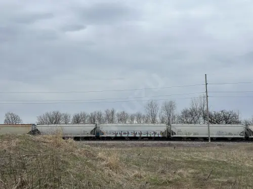 Train photo